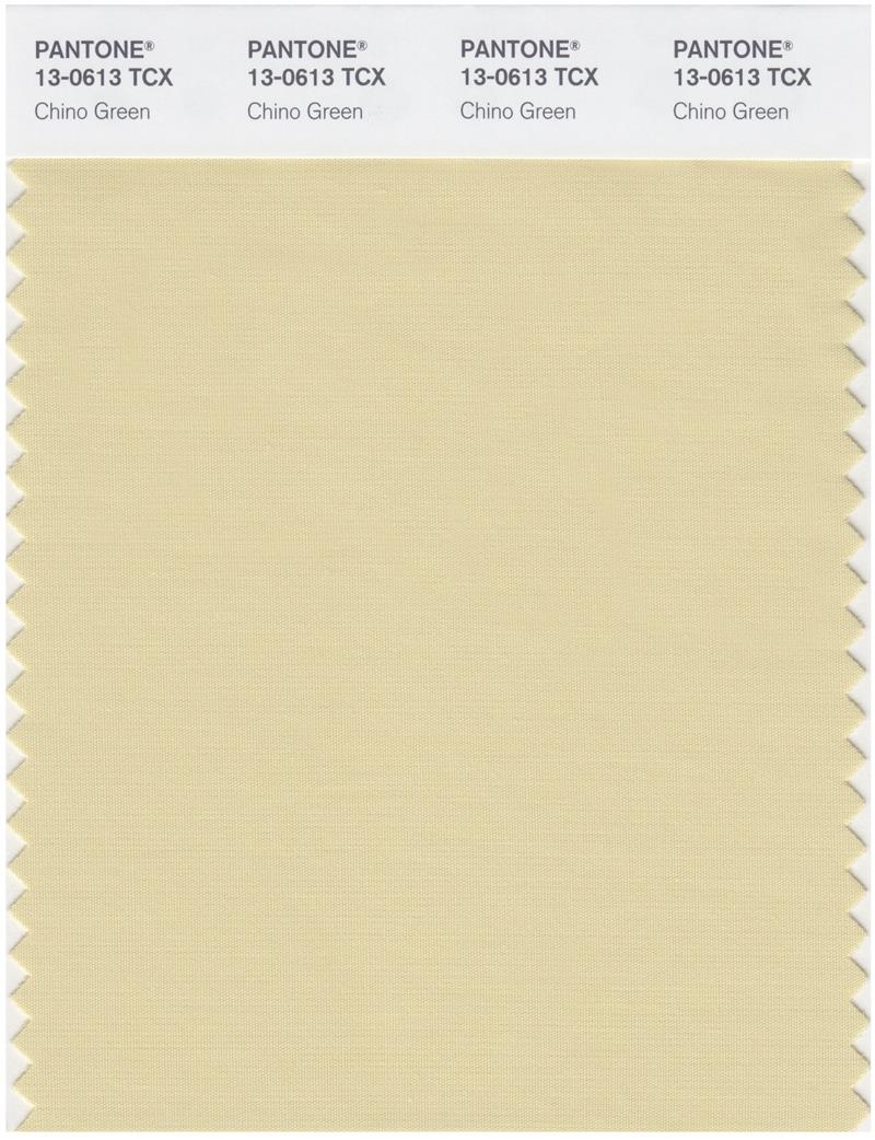 Pantone Smart 13-0613 TCX Color Swatch Card | Chino Green 