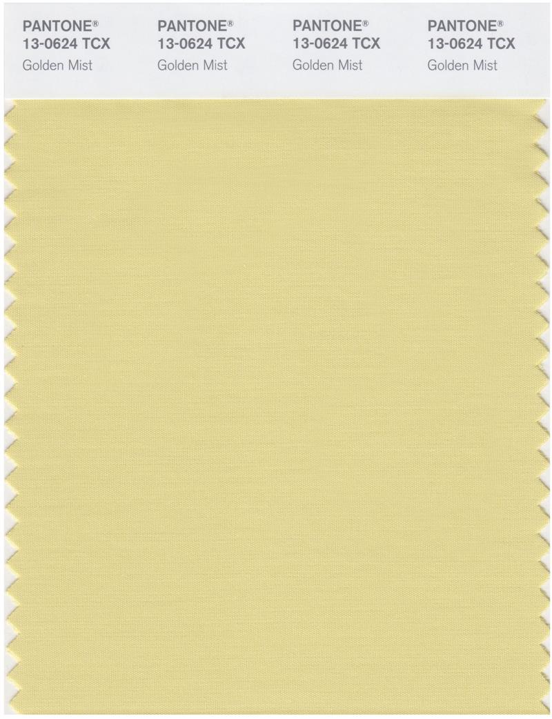 Pantone Smart 13-0624 TCX Color Swatch Card | Golden Mist 