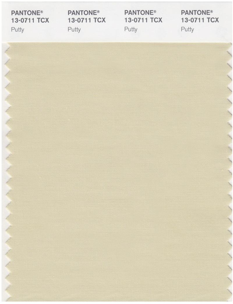 Pantone Smart 13-0711 TCX Color Swatch Card | Putty 