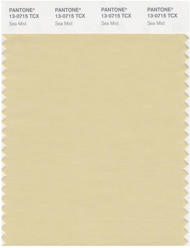 Pantone Smart 13-0715 TCX Color Swatch Card | Sea Mist 