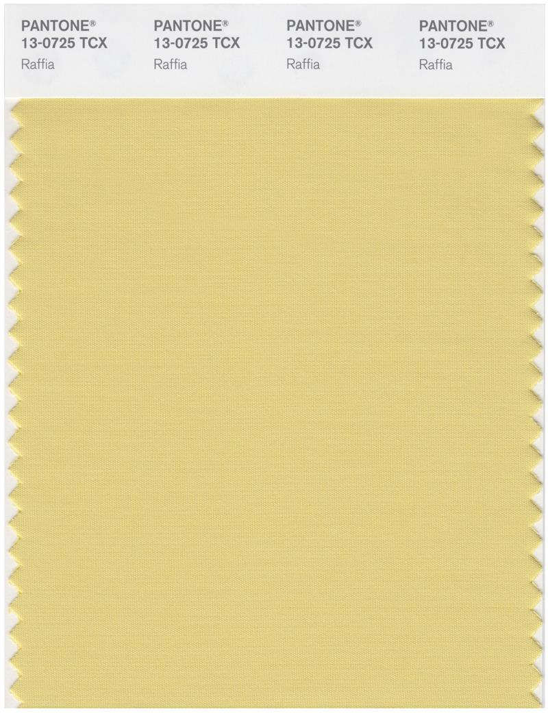 Pantone Smart 13-0725 TCX Color Swatch Card | Raffia 