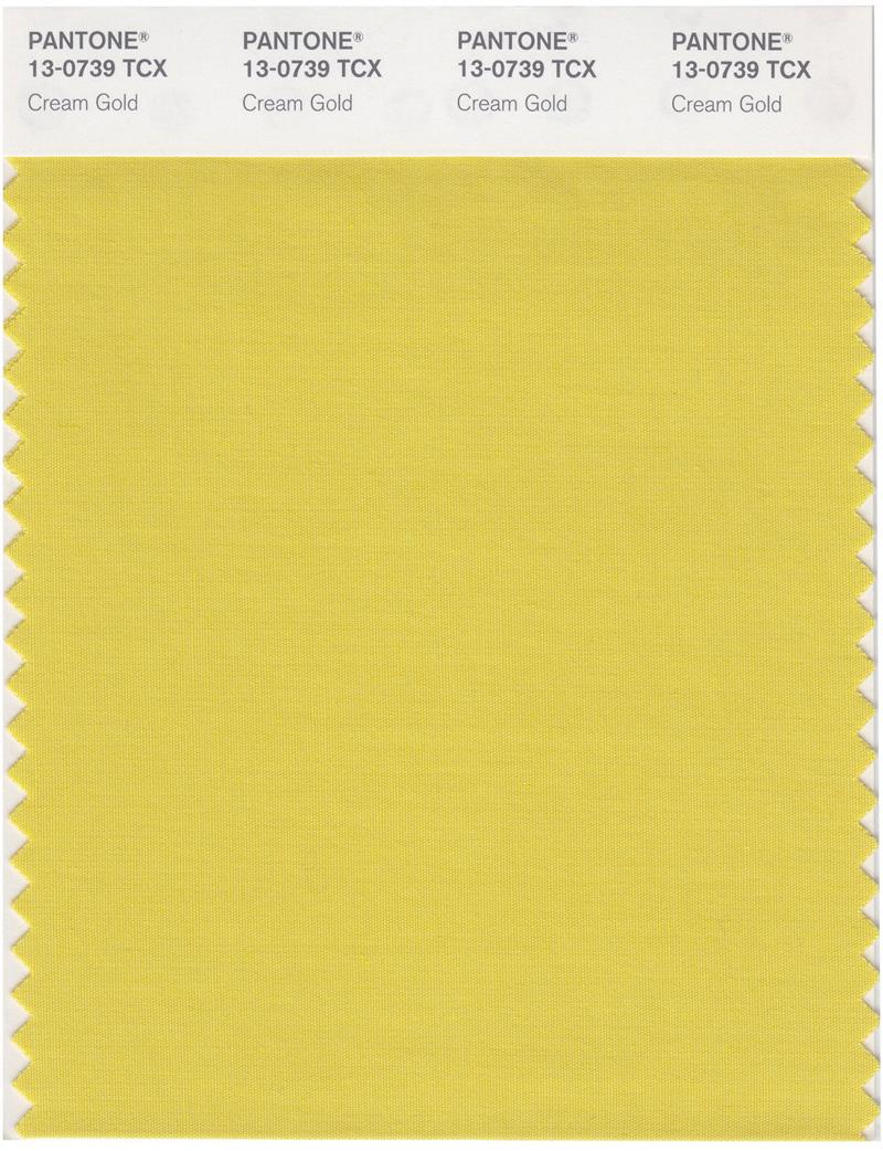 Pantone Smart 13-0739 TCX Color Swatch Card | Cream Gold 