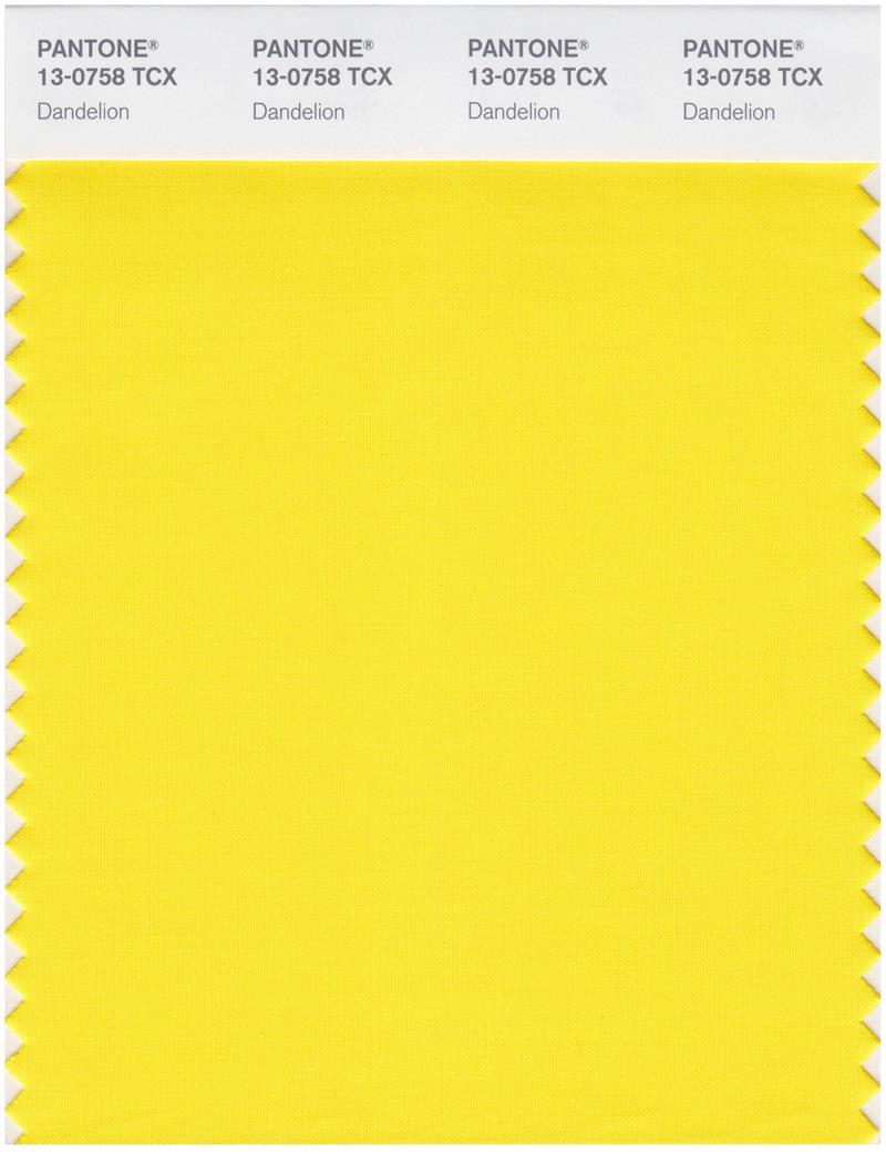 Pantone Smart 13-0758 TCX Color Swatch Card | Dandelion 