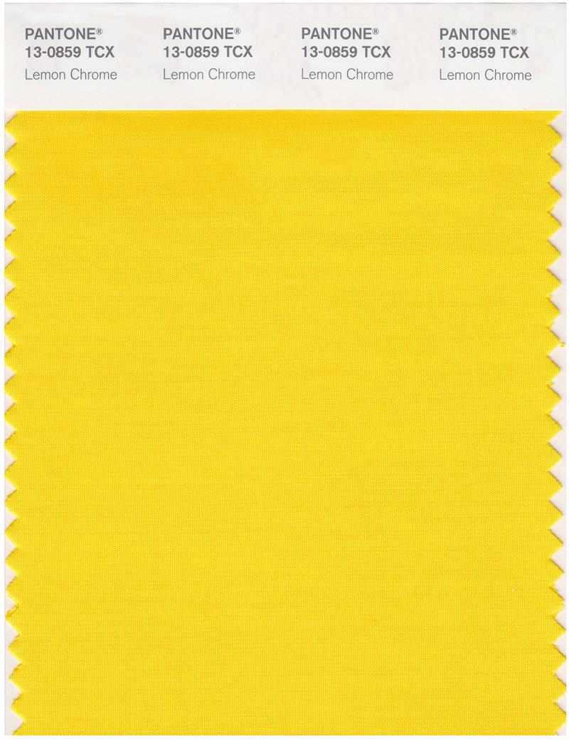 Pantone Smart 13-0859 TCX Color Swatch Card | Lemon Chrome 