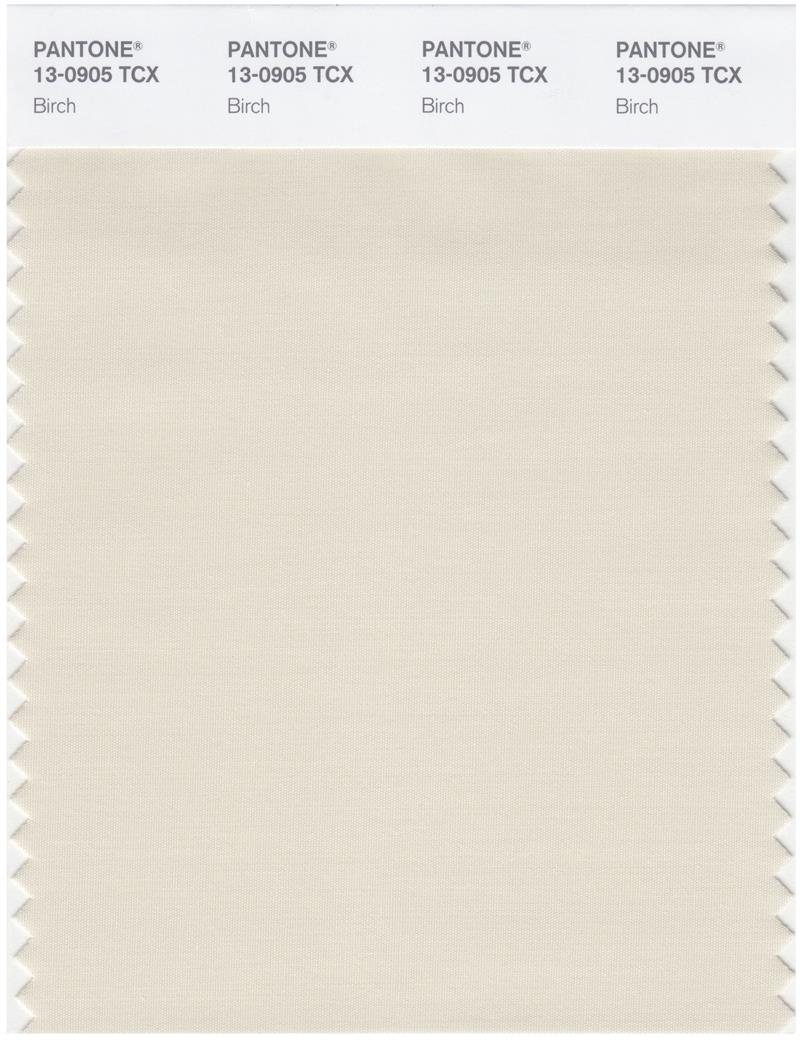 Pantone Smart 13-0905 TCX Color Swatch Card | Birch 