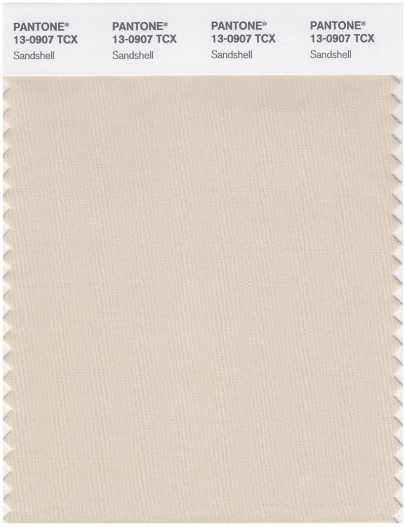 Pantone Smart 13-0907 TCX Color Swatch Card | Sand Shell 