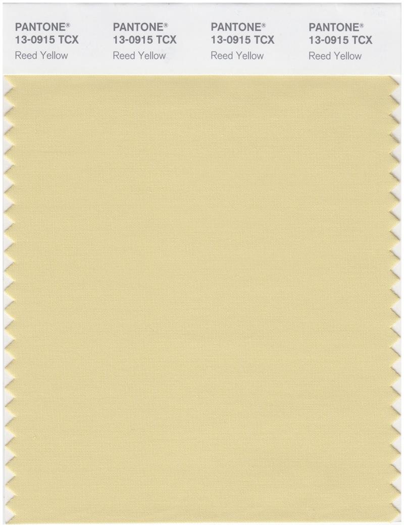 Pantone Smart 13-0915 TCX Color Swatch Card | Reed Yellow 