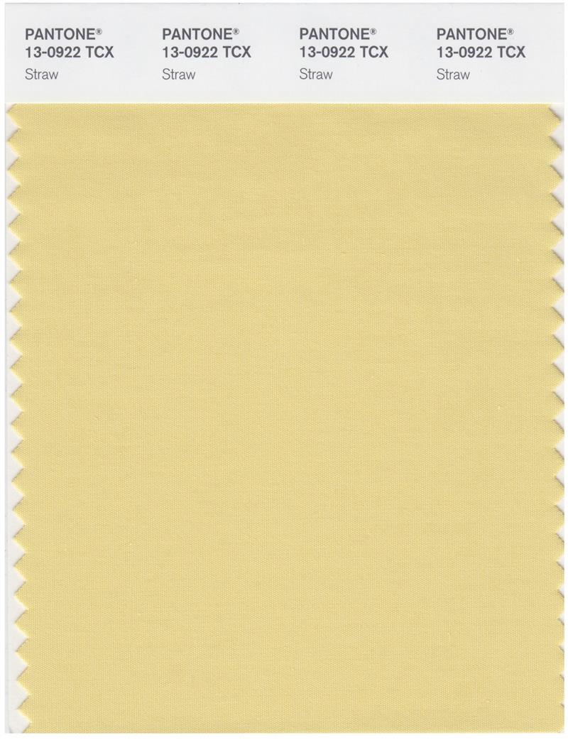 Pantone Smart 13-0922 TCX Color Swatch Card | Straw 