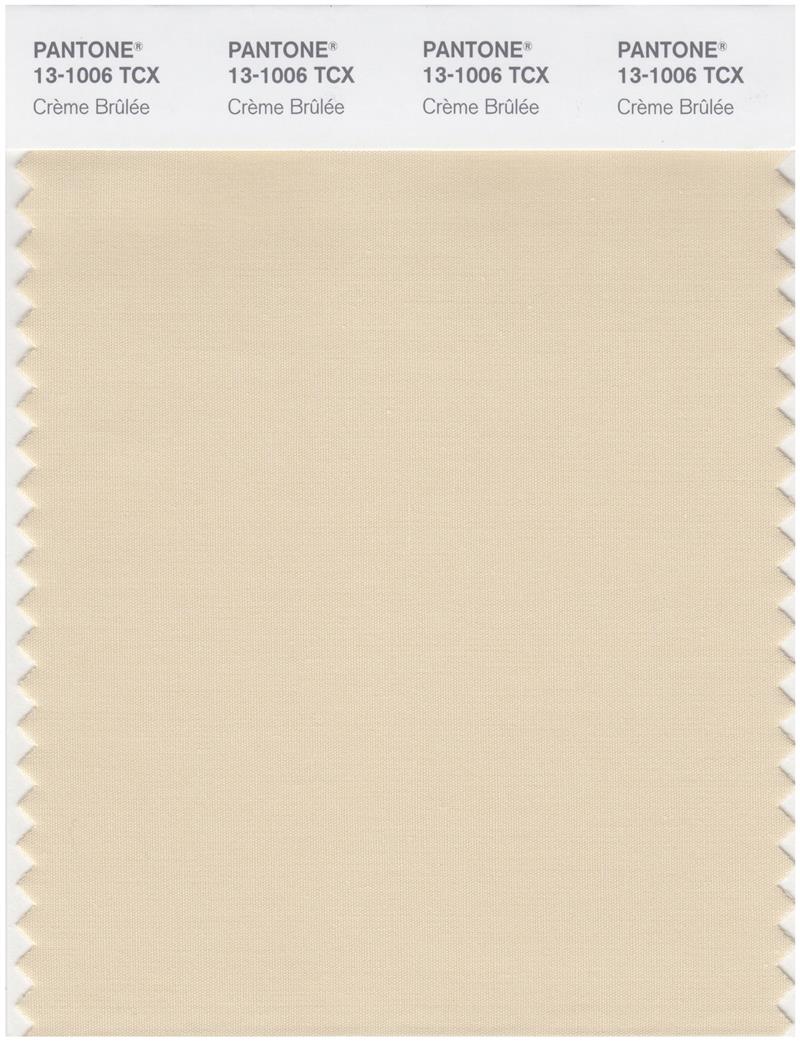 Pantone Smart 13-1006 TCX Color Swatch Card | creme-brulee 