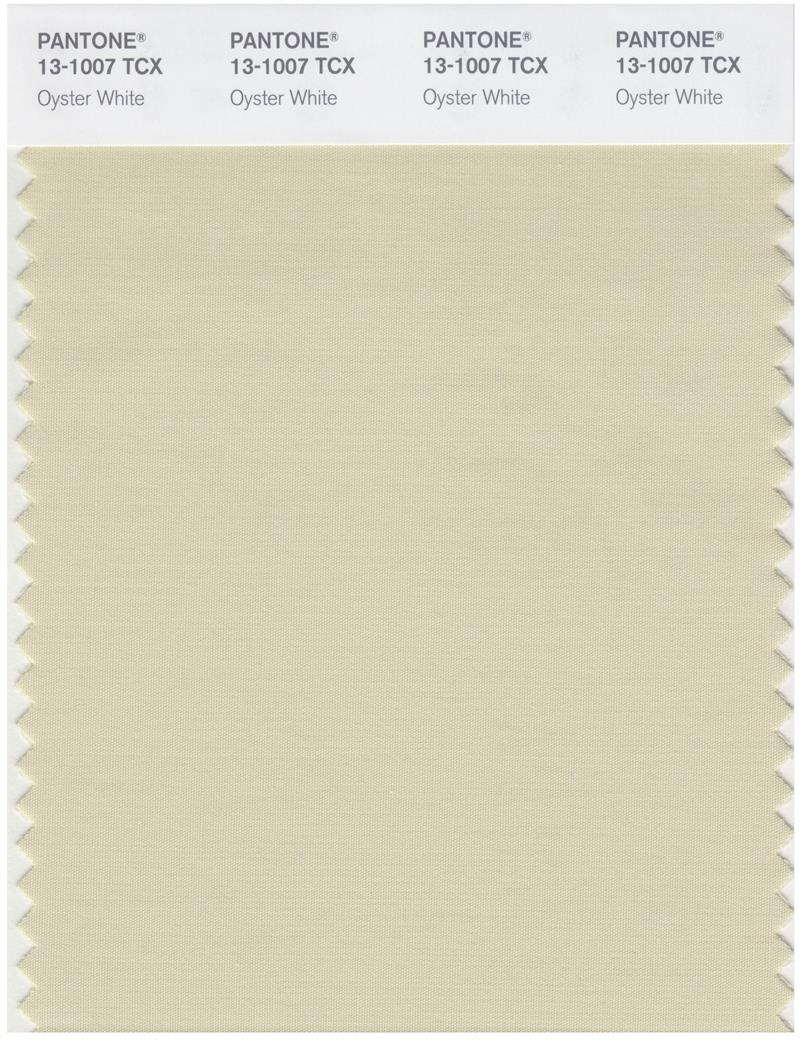 Pantone Smart 13-1007 TCX Color Swatch Card | Oyster White 