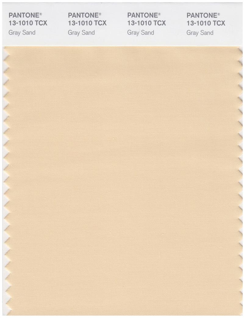 Pantone Smart 13-1010 TCX Color Swatch Card | Gray Sand 