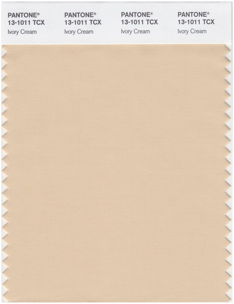 Pantone Smart 13-1011 TCX Color Swatch Card | Ivory Cream 