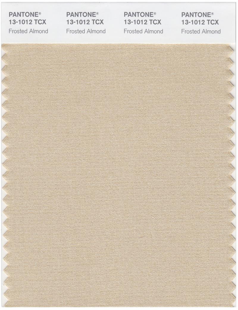 Pantone Smart 13-1012 TCX Color Swatch Card | Frosted Almond 