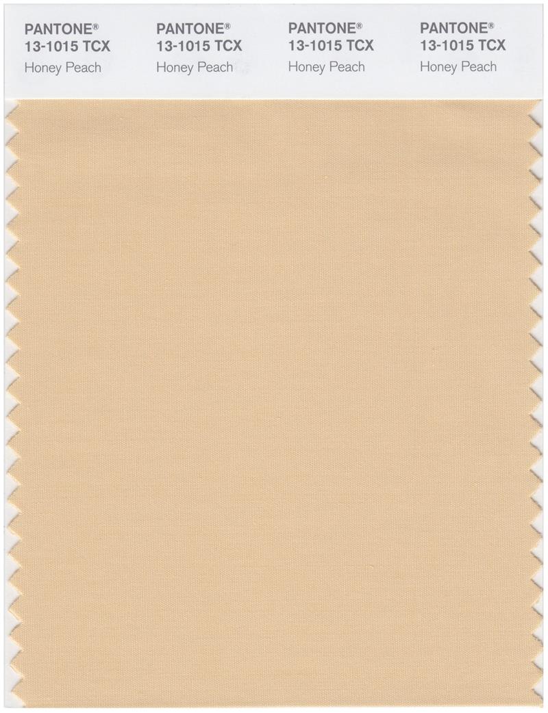 Pantone Smart 13-1015 TCX Color Swatch Card | Honey Peach 