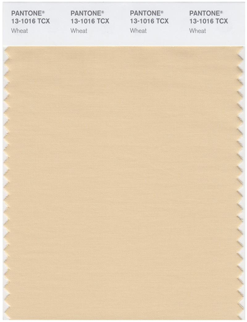 Pantone Smart 13-1016 TCX Color Swatch Card | Wheat 