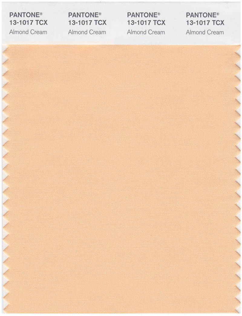 Pantone Smart 13-1017 TCX Color Swatch Card | Almond Cream 