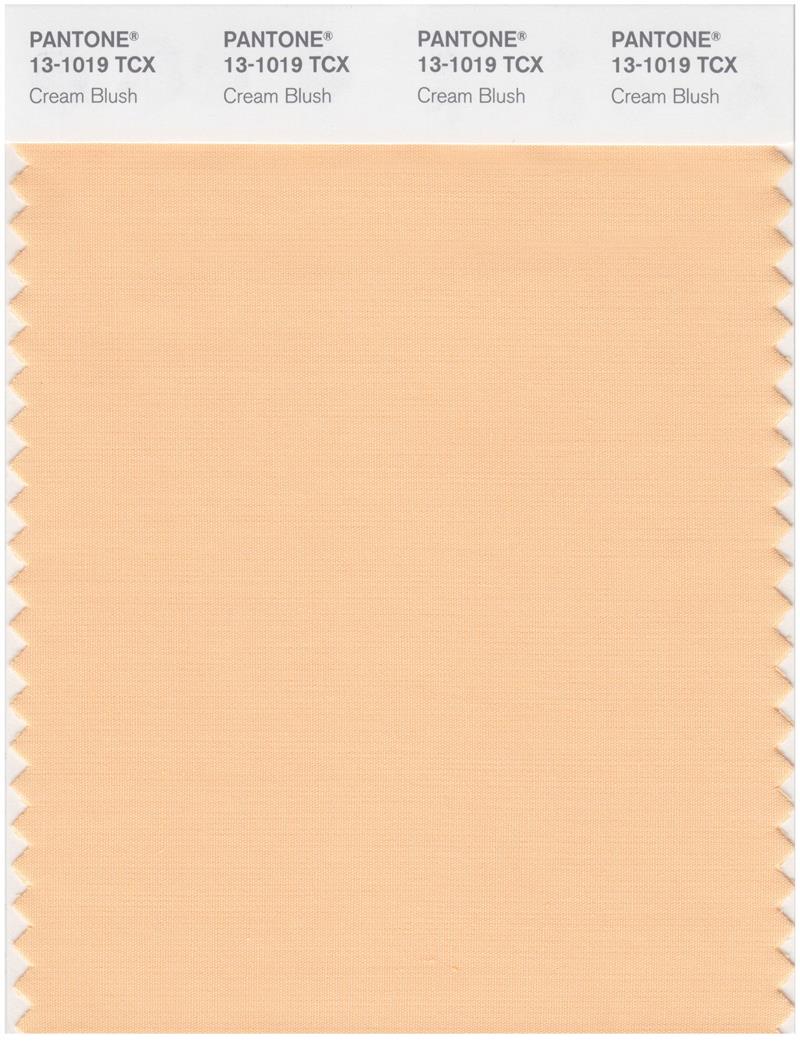 Pantone Smart 13-1019 TCX Color Swatch Card | Cream Blush 