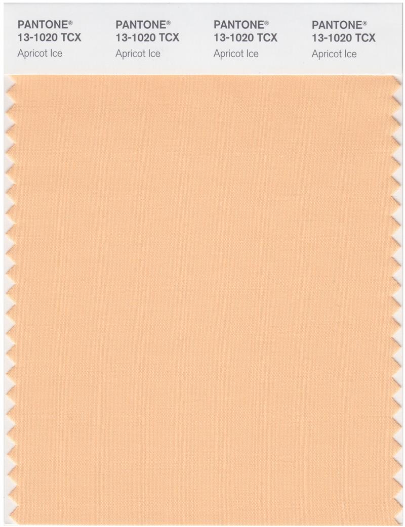 Pantone Smart 13-1020 TCX Color Swatch Card | Apricot Ice 