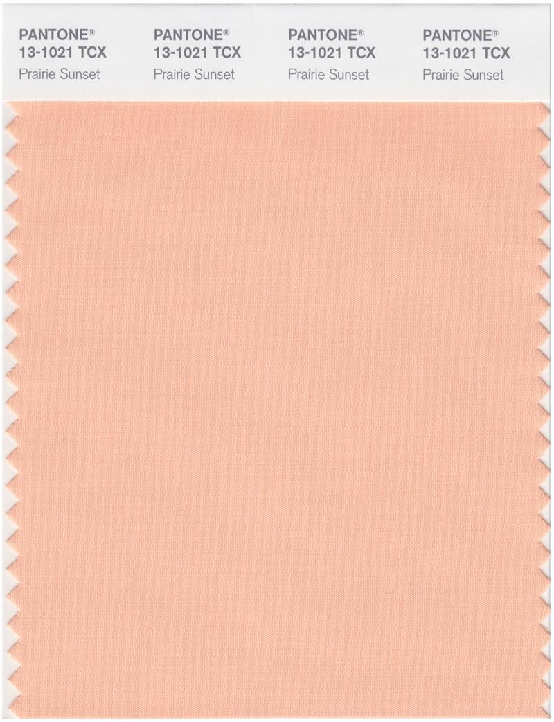 Pantone Smart 13-1021 TCX Color Swatch Card | Prairie Sunset 