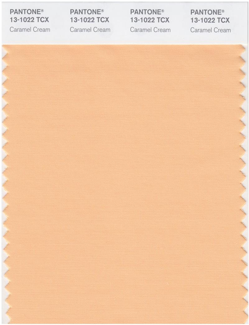 Pantone Smart 13-1022 TCX Color Swatch Card | Caramel Cream 