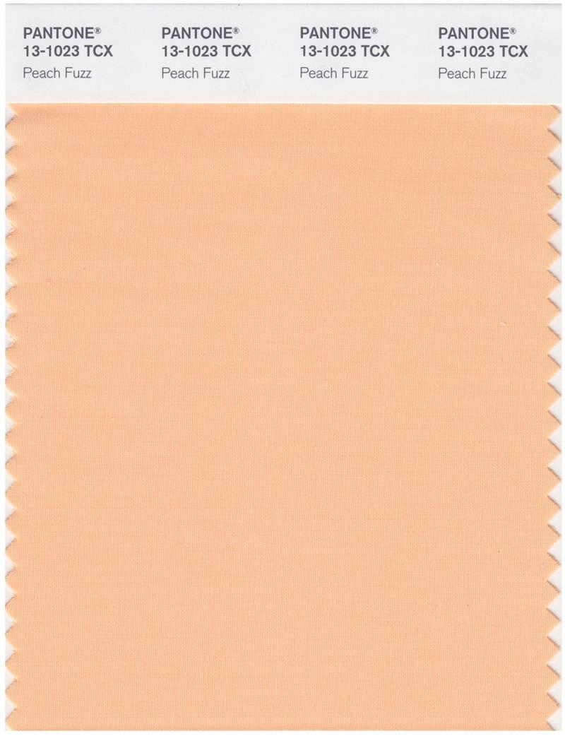 Pantone Smart 13-1023 TCX Color Swatch Card | Peach Fuzz 