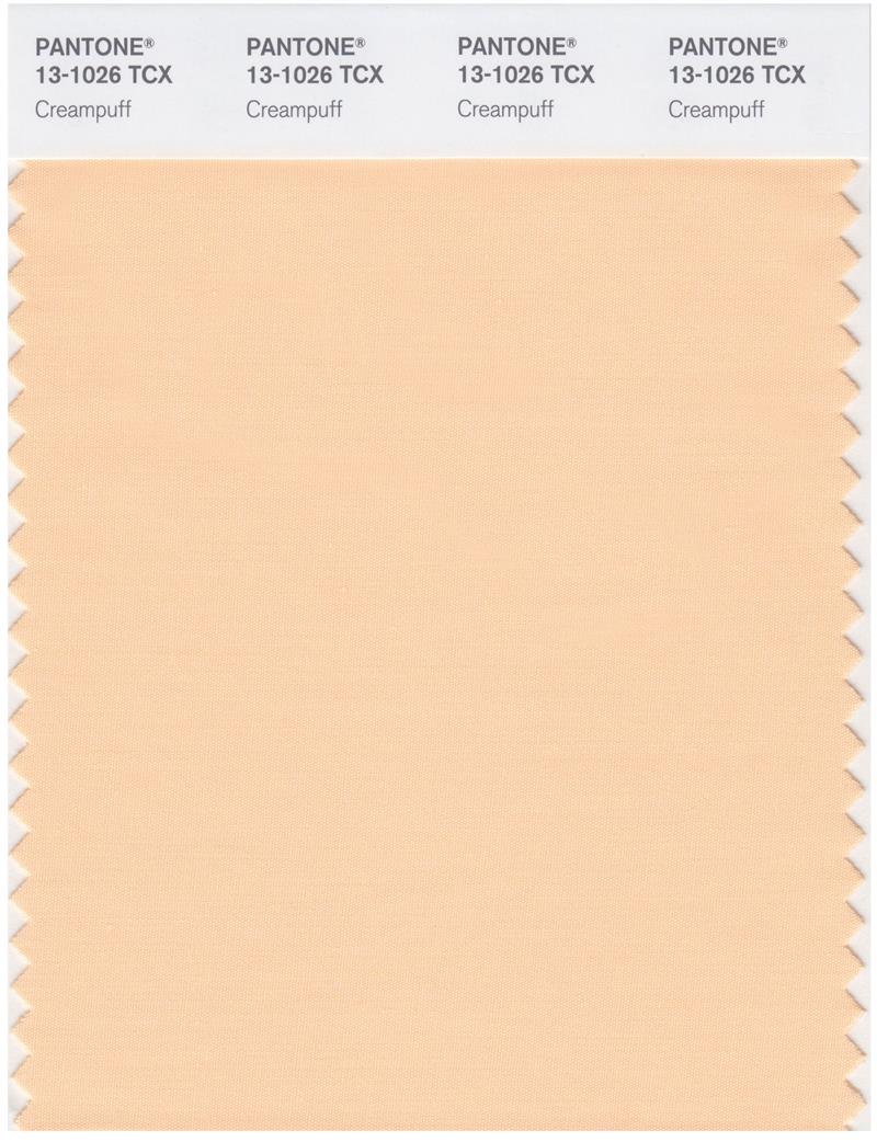 Pantone Smart 13-1026 TCX Color Swatch Card | Creampuff 