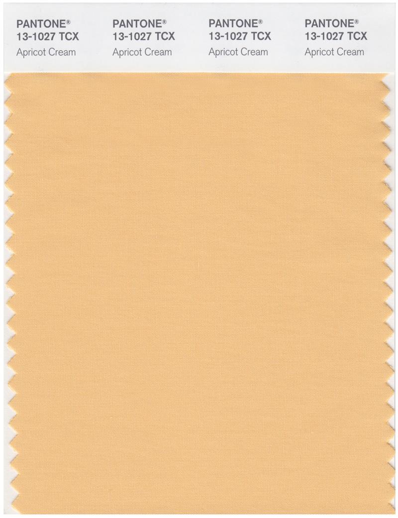 Pantone Smart 13-1027 TCX Color Swatch Card | Apricot Cream 