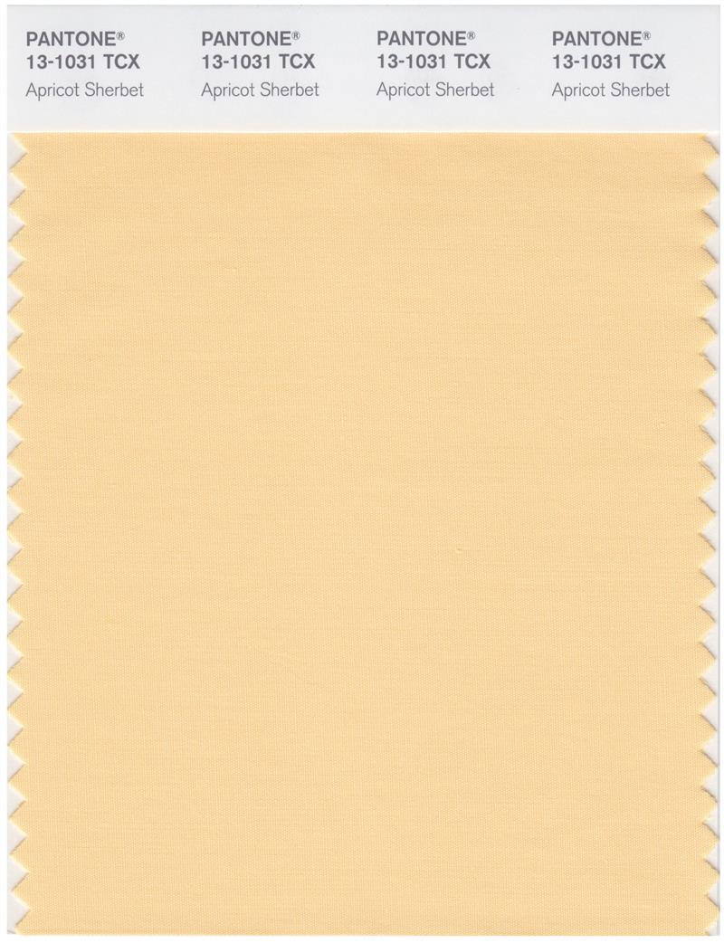 Pantone Smart 13-1031 TCX Color Swatch Card | Apricot Sherbet 