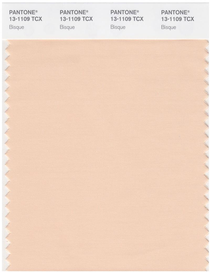 Pantone Smart 13-1109 TCX Color Swatch Card | Bisque 