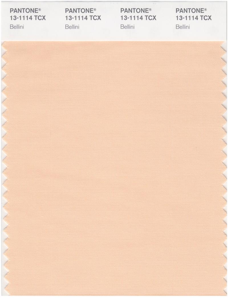 Pantone Smart 13-1114 TCX Color Swatch Card | Bellini 