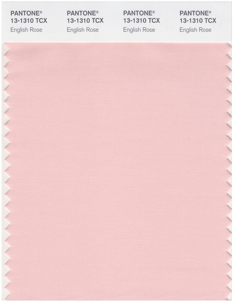 Pantone Smart 13-1310 TCX Color Swatch Card | English Rose 