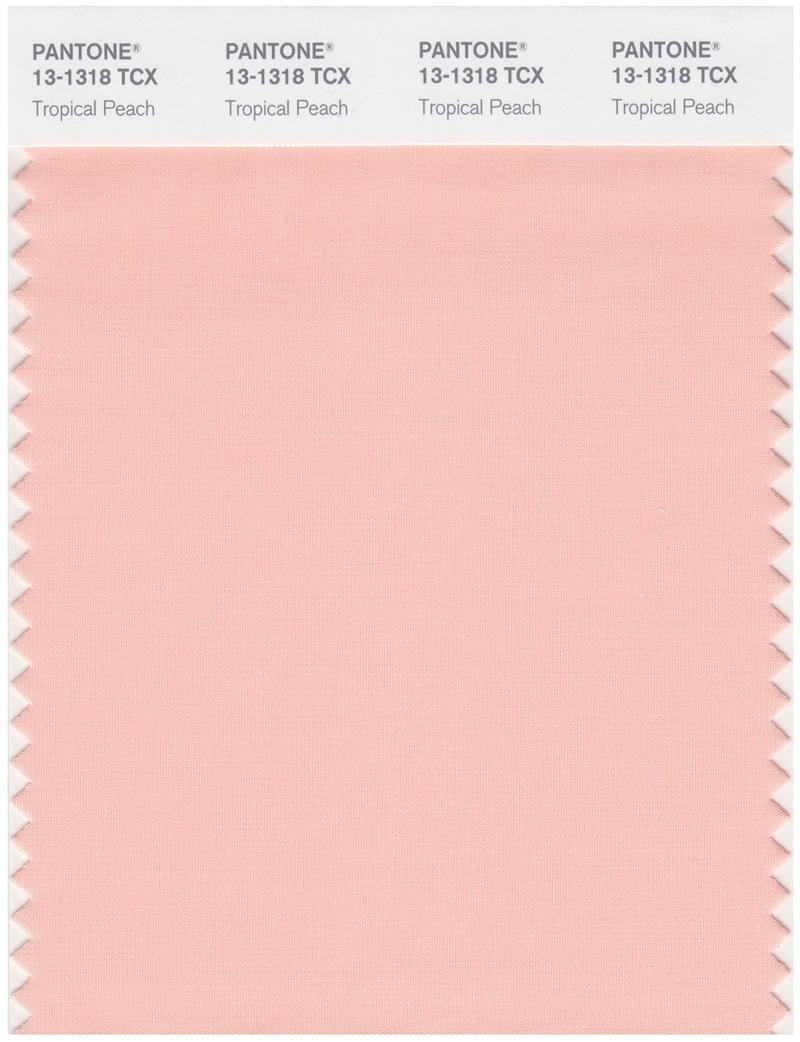 Pantone Smart 13-1318 TCX Color Swatch Card | Tropical Peach 