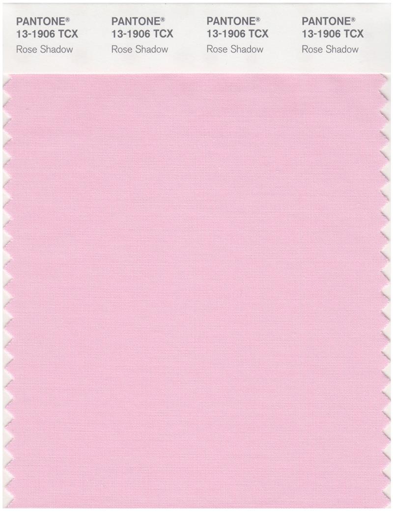 Pantone Smart 13-1906 TCX Color Swatch Card | Rose Shadow 