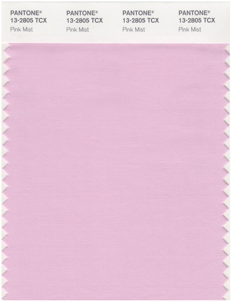 Pantone Smart 13-2805 TCX Color Swatch Card | Pink Mist 