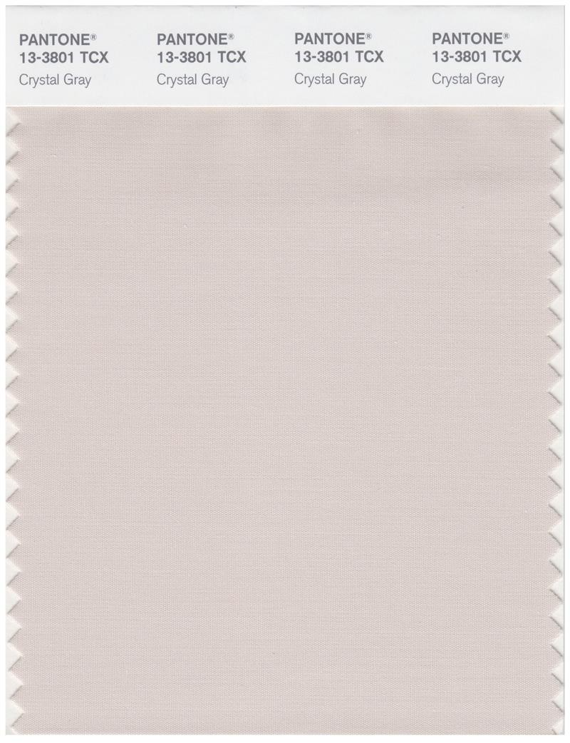 Pantone Smart 13-3801 TCX Color Swatch Card | Crystal Gray 