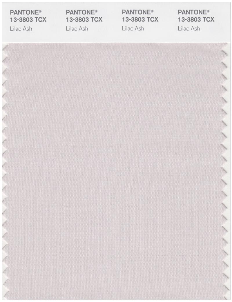 Pantone Smart 13-3803 TCX Color Swatch Card | Lilac Ash 