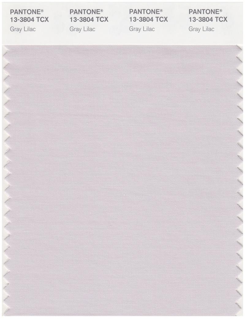 Pantone Smart 13-3804 TCX Color Swatch Card | Gray Lilac 