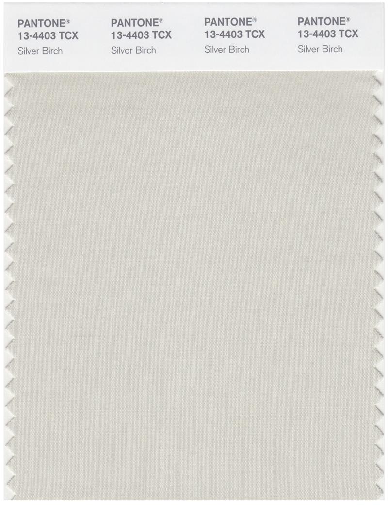 Pantone Smart 13-4403 TCX Color Swatch Card | Silver Birch 