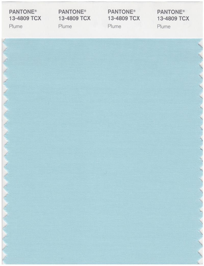 Pantone Smart 13-4809 TCX Color Swatch Card | Plume 