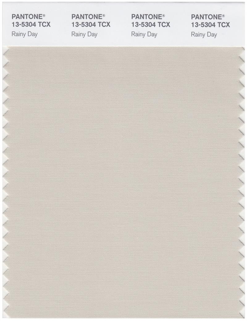 Pantone Smart 13-5304 TCX Color Swatch Card | Rainy Day 