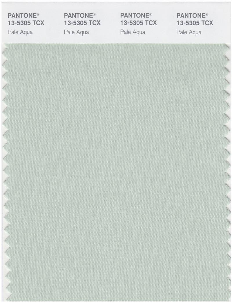 Pantone Smart 13-5305 TCX Color Swatch Card | Pale Aqua 