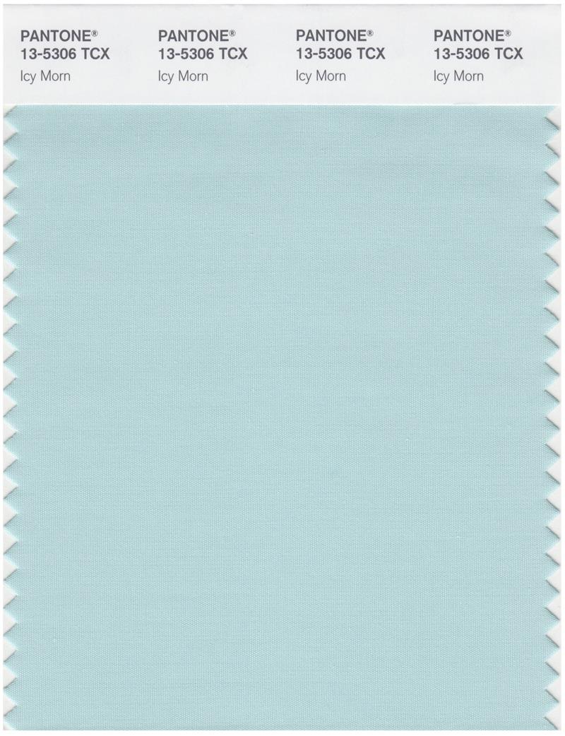 Pantone Smart 13-5306 TCX Color Swatch Card | Icy Morn 