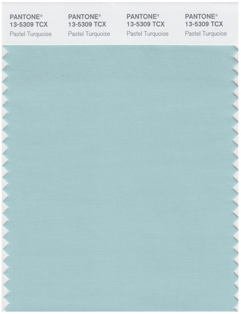 Pantone Smart 13-5309 TCX Color Swatch Card | Pastel Turquoise 