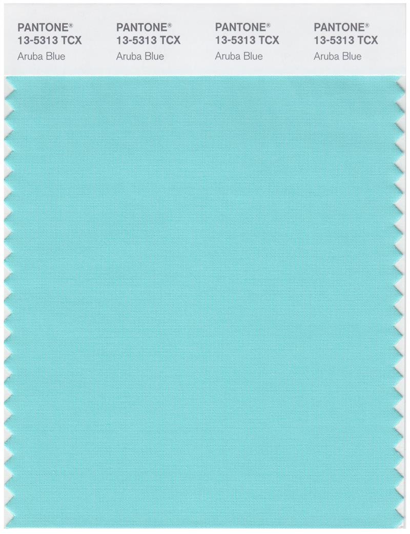 Pantone Smart 13-5313 TCX Color Swatch Card | Aruba Blue 