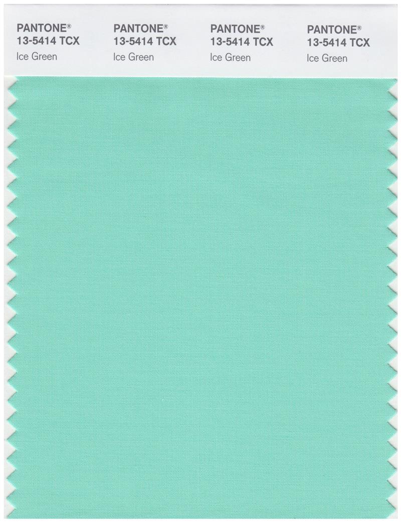 Pantone Smart 13-5414 TCX Color Swatch Card | Ice Green 