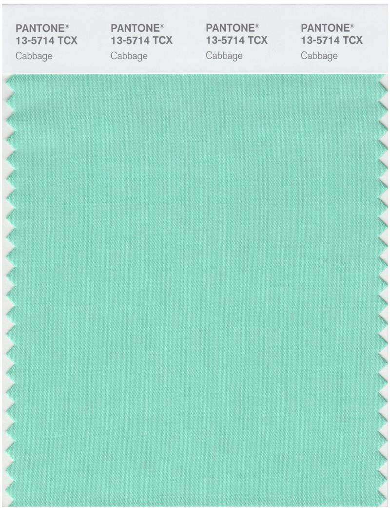 Pantone Smart 13-5714 TCX Color Swatch Card | Cabbage 