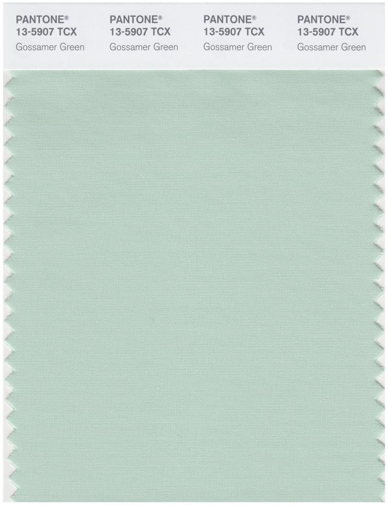 Pantone Smart 13-5907 TCX Color Swatch Card | Gossamer Green 