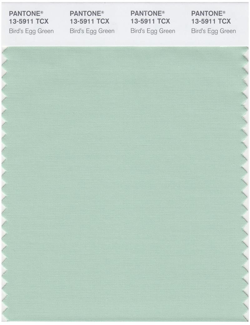 Pantone Smart 13-5911 TCX Color Swatch Card | Bird's Egg Green 