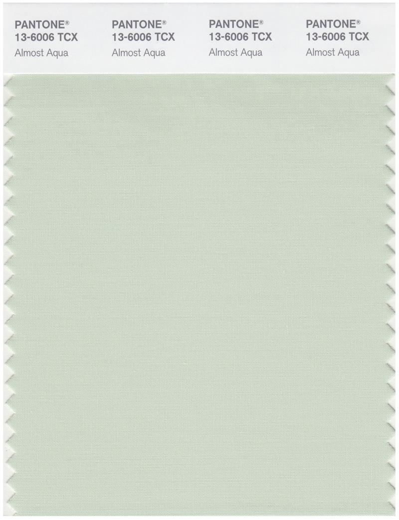 Pantone Smart 13-6006 TCX Color Swatch Card | Almost Aqua 