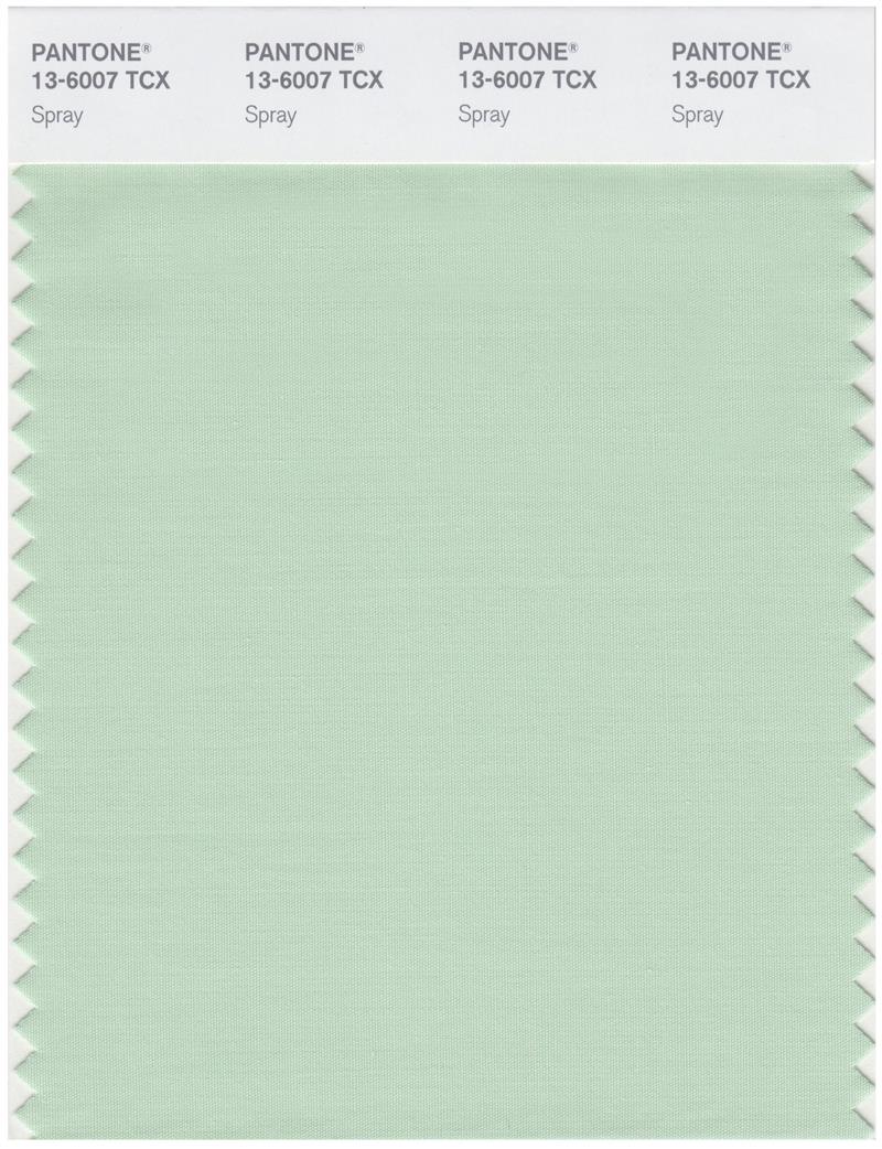 Pantone Smart 13-6007 TCX Color Swatch Card | Spray 